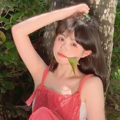 口袋对决果盘版下载
